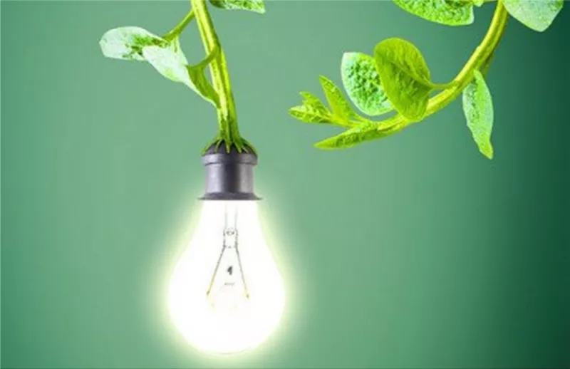 green electricity