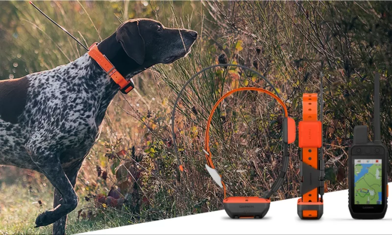 Garmin's New Alpha Dog Tracking System Can Make You a Better Hunter