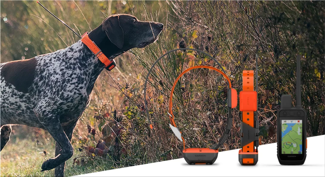 Garmin's New Alpha Dog Tracking System Can Make You a Better Hunter
